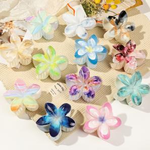 Hair Clips