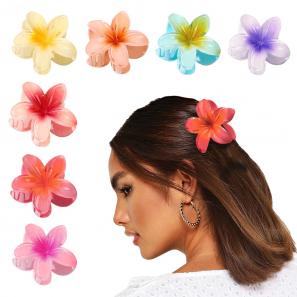 Hair Clips
